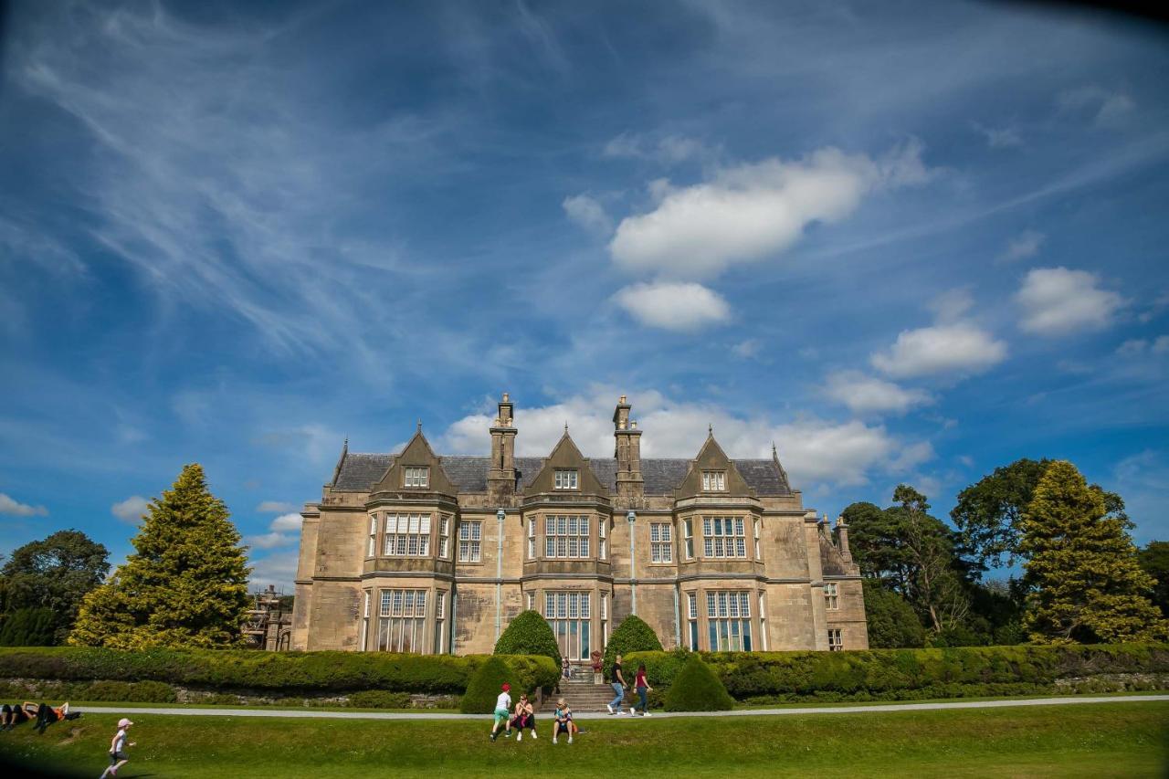 Апартаменты The Beeches Килларни Экстерьер фото